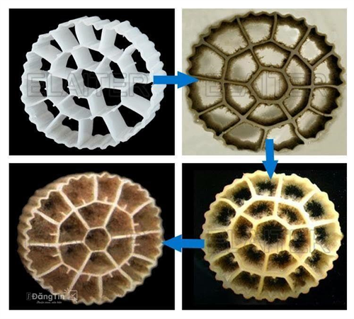 Giá thể vi sinh dạng bánh xe - Wheel - shaped microbial media